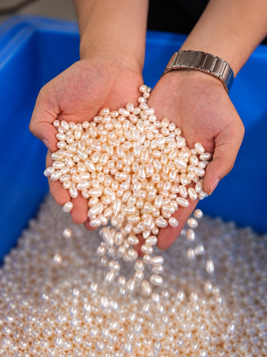 Natural freshwater pearl selection